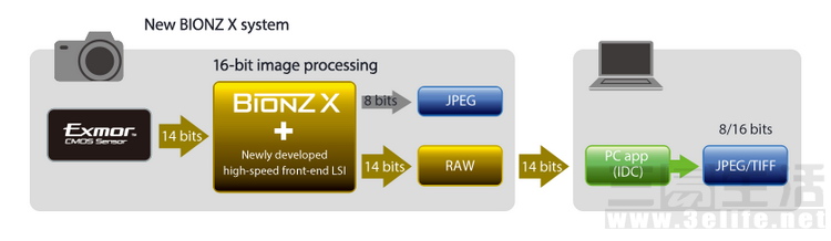 Bionz-x.JPG