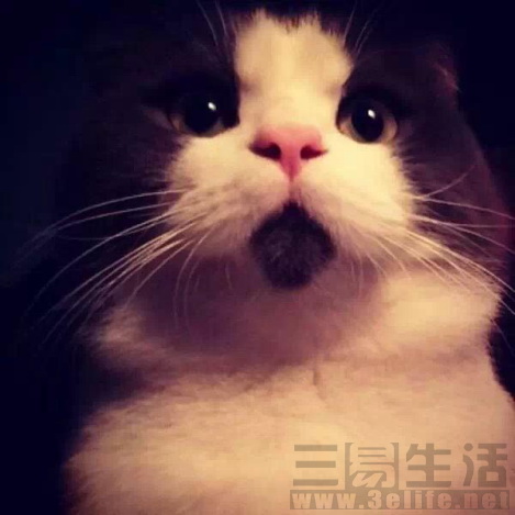 174027223206图片20.jpg 图片20.JPG