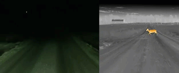 16020549068004.gif