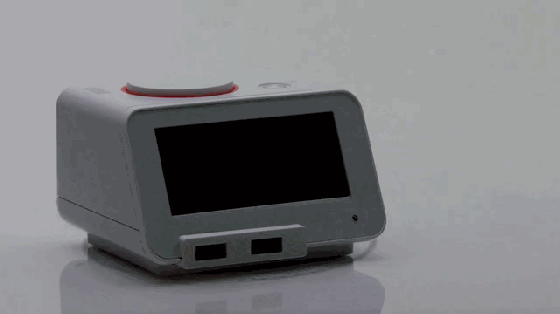 01.gif