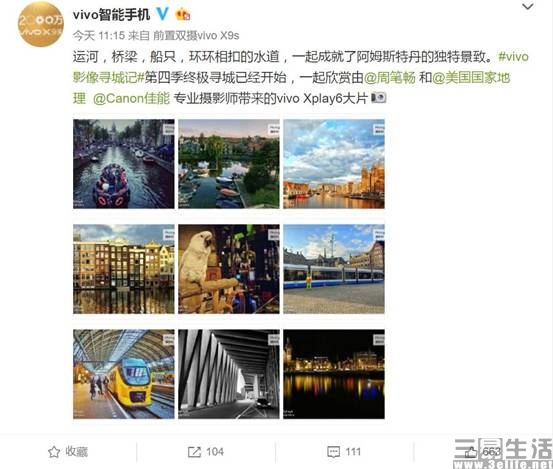 vivo1.jpg