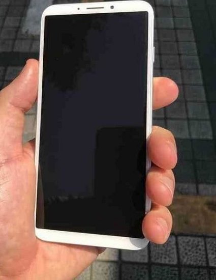 VIVO.jpg