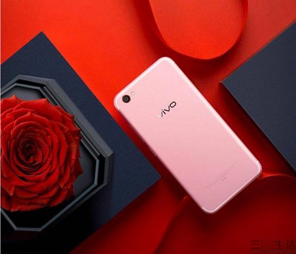 171812751902vivo2.jpeg vivo2.jpeg