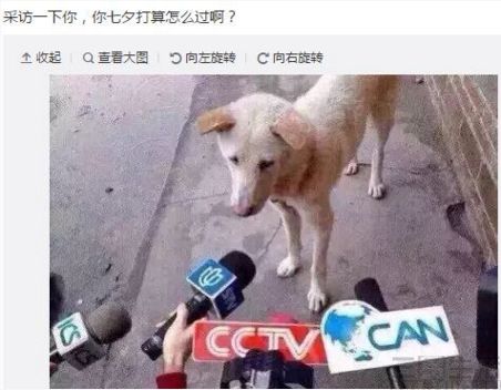 QQ截图20170828135203.jpg