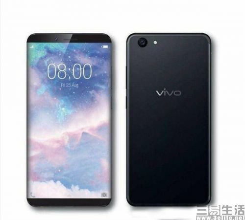 vivo1.jpg