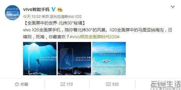 vivo2.jpg