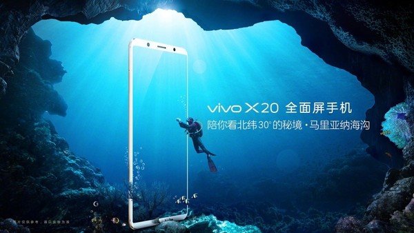 vivo1.jpg
