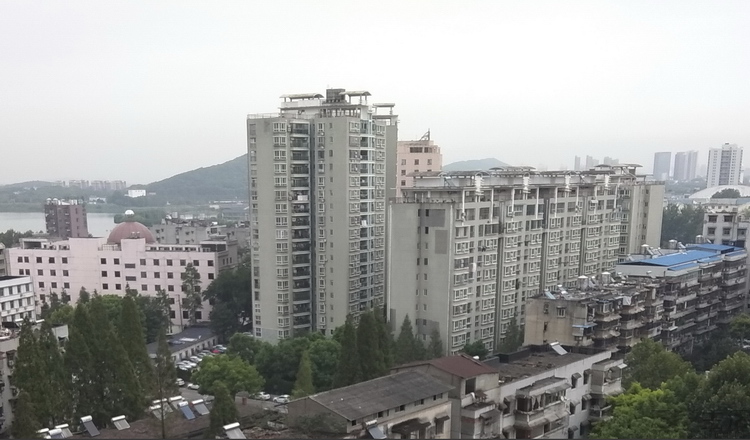72.jpg