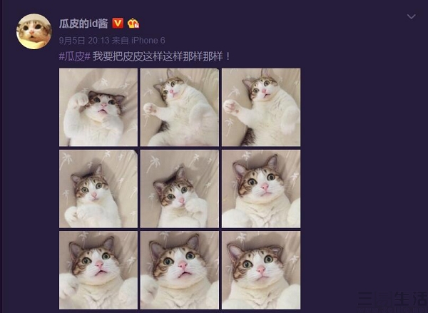 QQ截图20170906182738.jpg