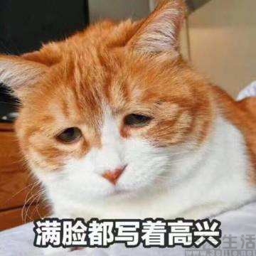 小心心.jpg