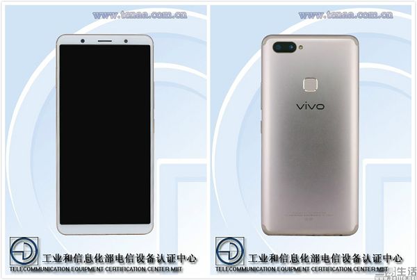 vivo.jpg