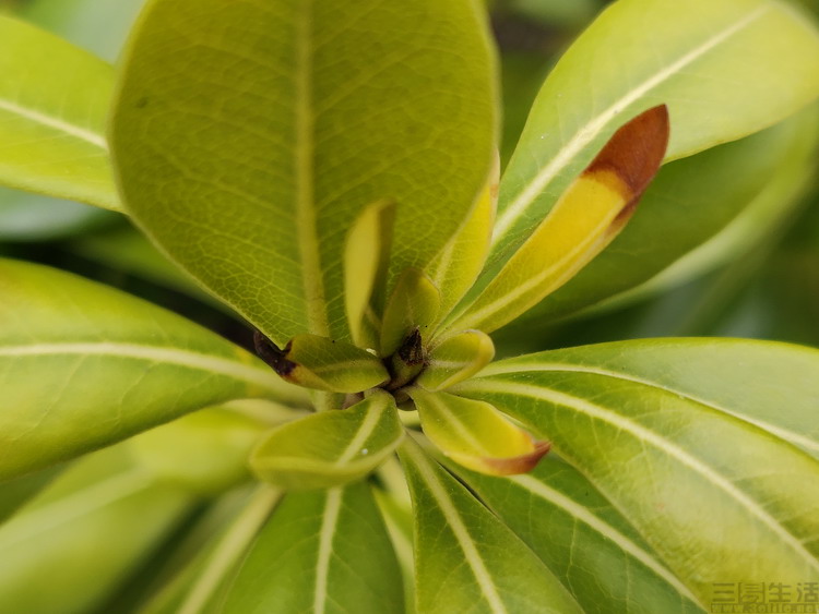 181059639957105.jpg 105.jpg