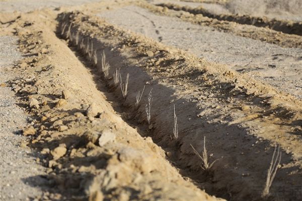 184654745251115848105881nEO_IMG_f795cd7e1d2a58c.jpg 115848105881nEO_IMG_f795cd7e1d2a58c.jpg