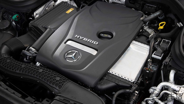 15504162270005.jpg 05.jpg