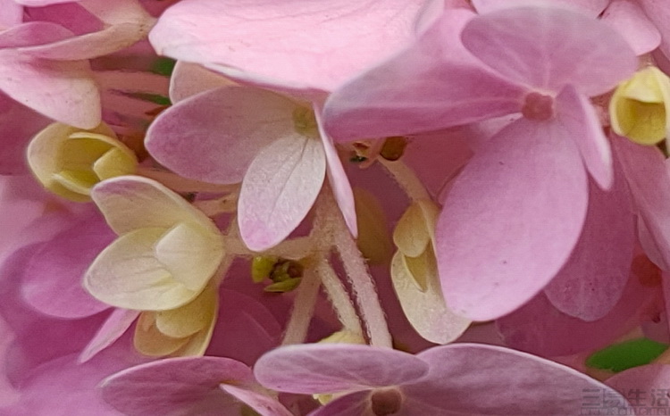 image095.jpg