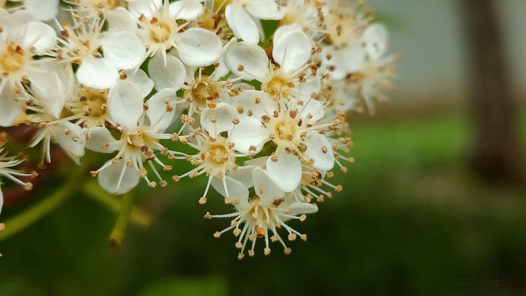 image099.jpg