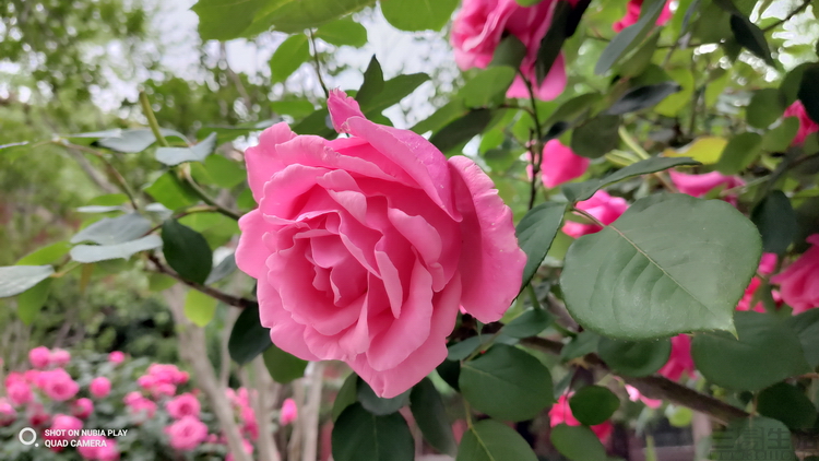 image081.jpg
