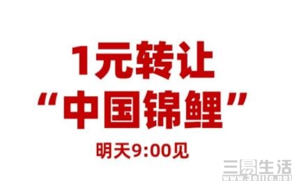 QQ截图20200911124824.jpg