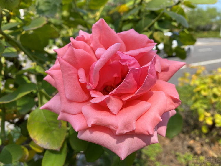 image046.jpg