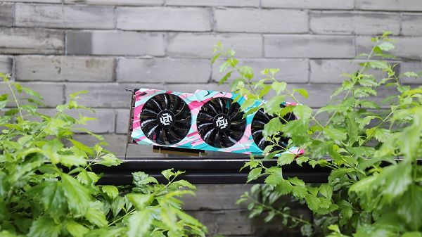 22564223775012.jpg 12.jpg