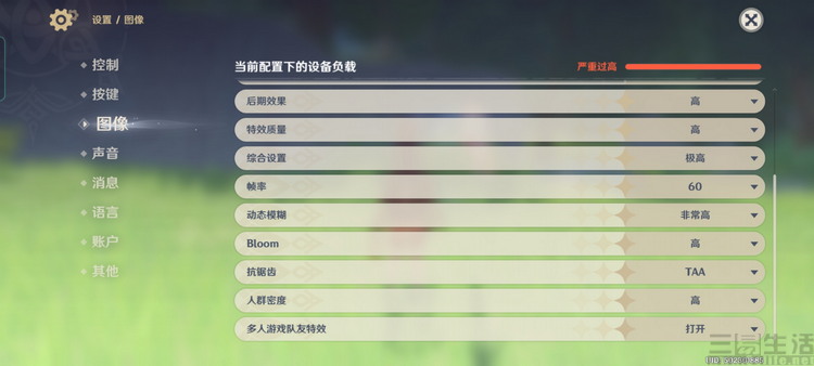 41.jpg