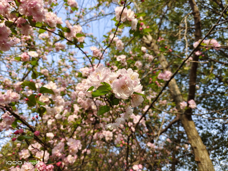 image087.jpg
