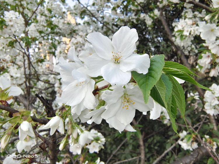 image095.jpg