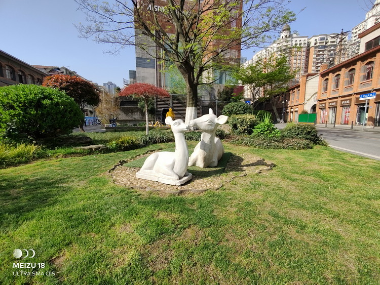 95.jpg