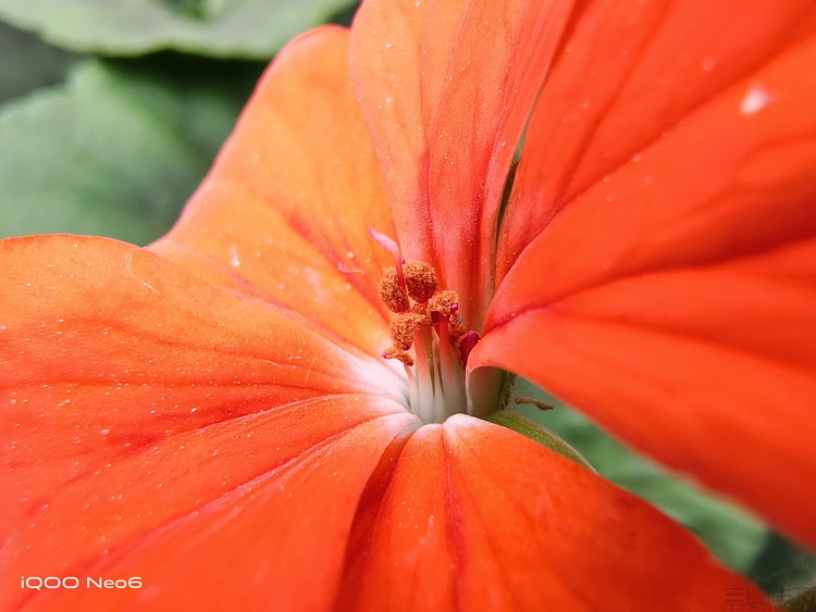 image075.jpg