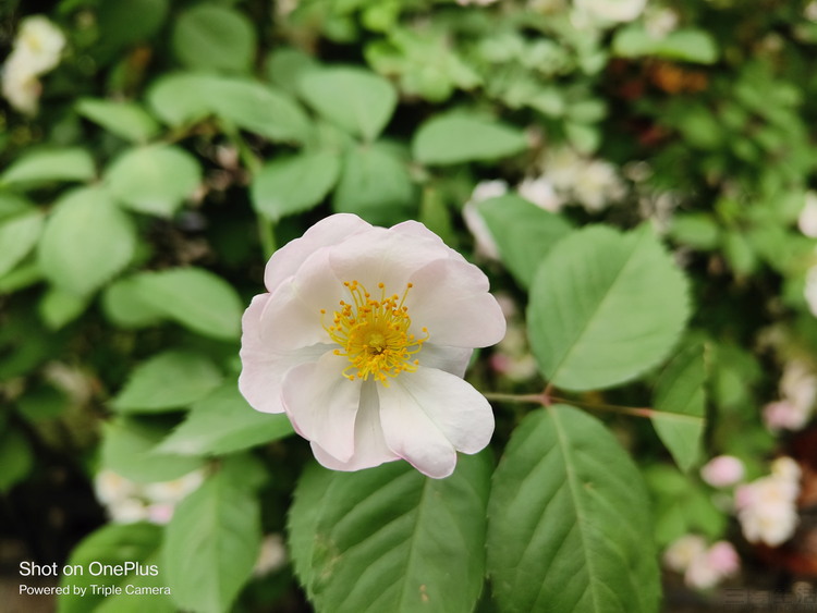 image071.jpg