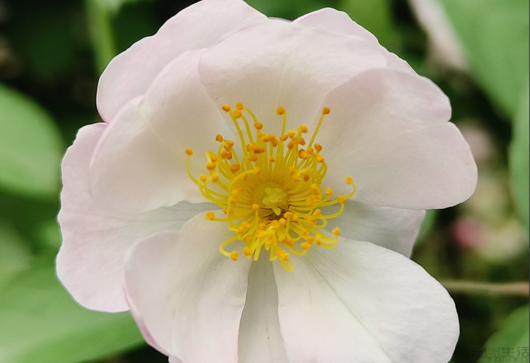 image073.jpg