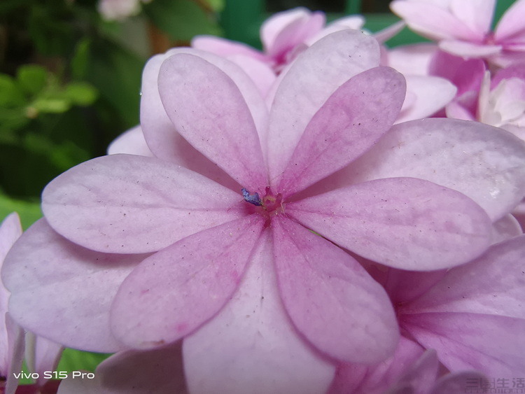 image075.jpg