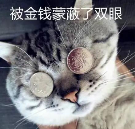 QQ截图20220523164436.jpg