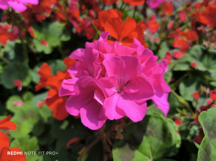 image073.jpg