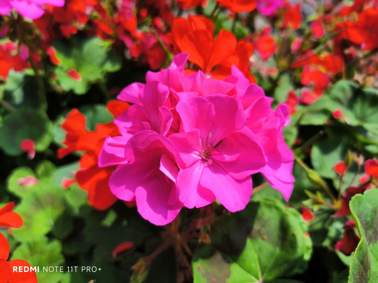 image075.jpg