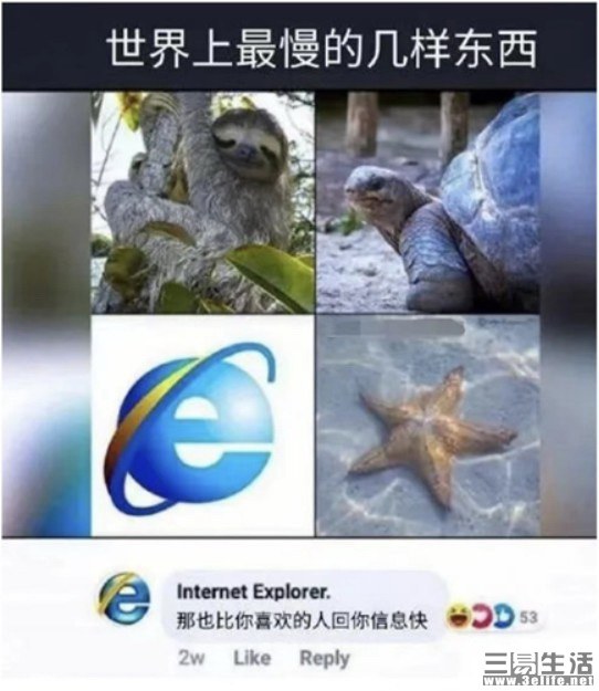 04.jpg