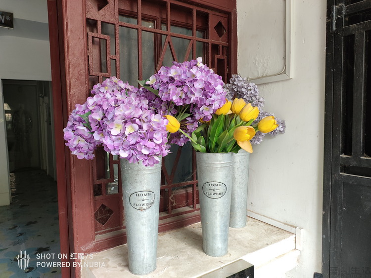 image102.jpg