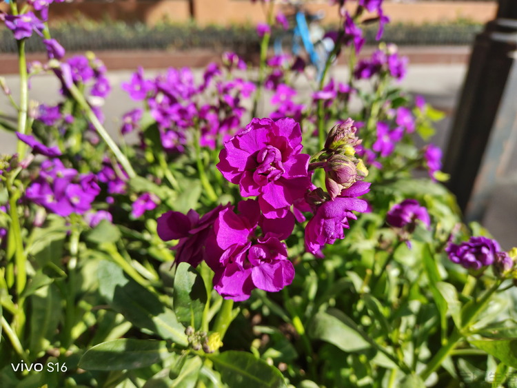 image077.jpg