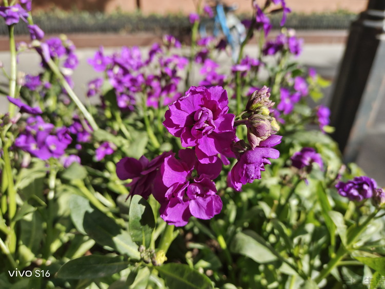 image079.jpg