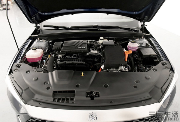 16112781874402.jpg 02.jpg