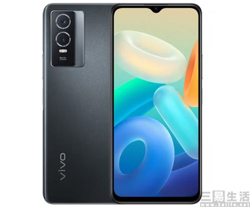 vivo001.jpg