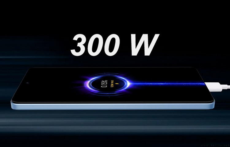 300w.jpg