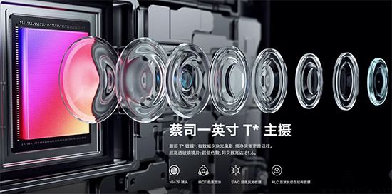 vivo-1.jpg