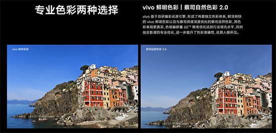 vivo-2.jpg
