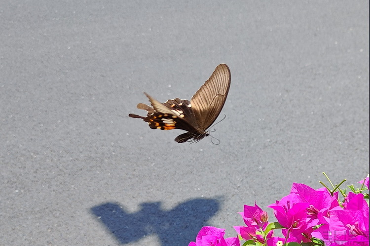 image044.jpg