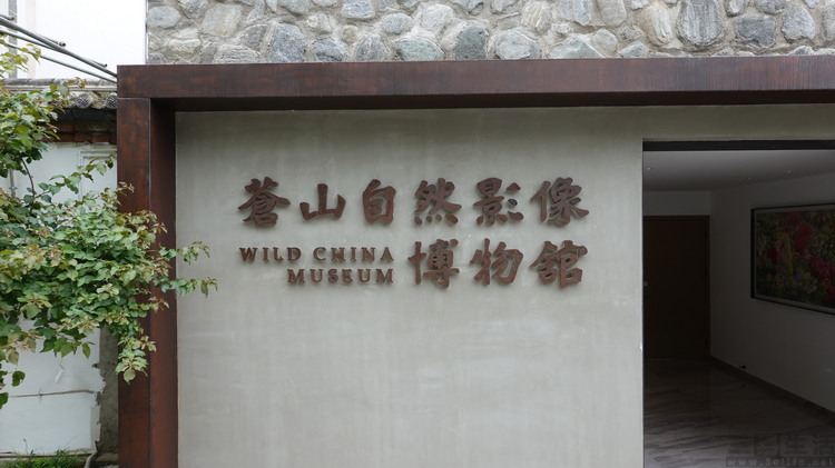DSC07986.JPG