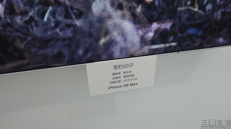 DSC08017.JPG