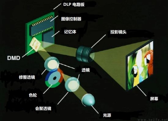 dlp-1.jpg