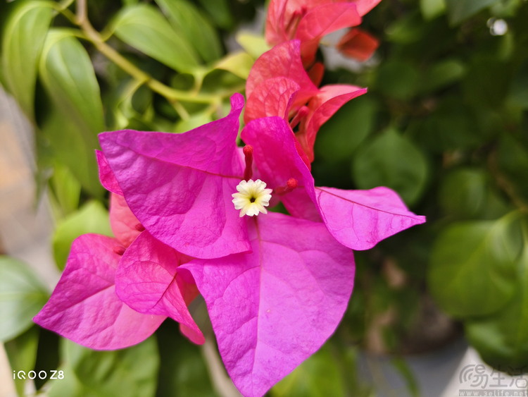 image033.jpg