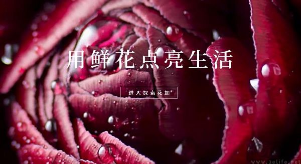 花加想打场“复活赛”，可鲜花电商真没故事可讲了